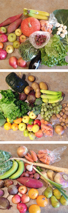 A variety of beautiful produce received in my weekly garden boxes. | www.scld.org