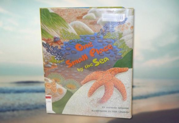 Book cover of One Small Place by the Sea