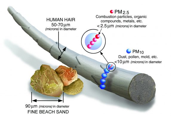 Fine particulate matter (PM) shown to scale compared to a human hair