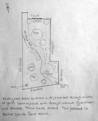 Hand-drawn plans for drought-tolerant landscape project