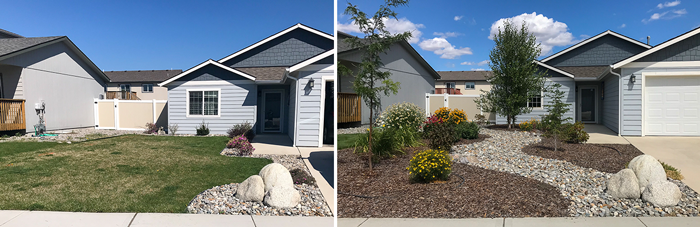 Xeriscape Drought-tolerant landscape before and after images