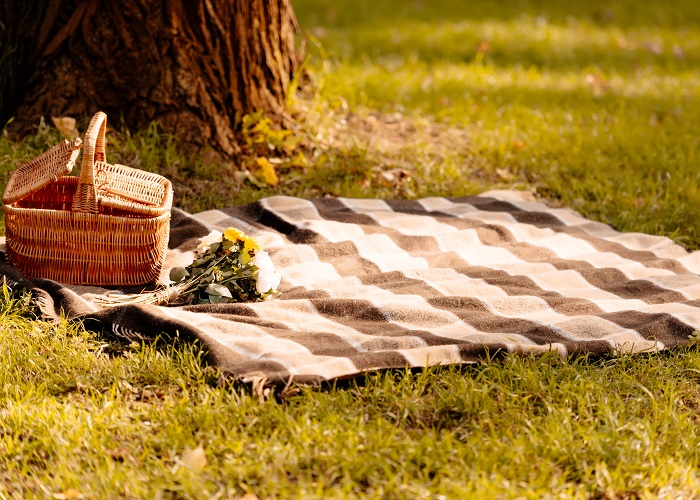 Picnic basket, flowers, and blanket on grass near tree