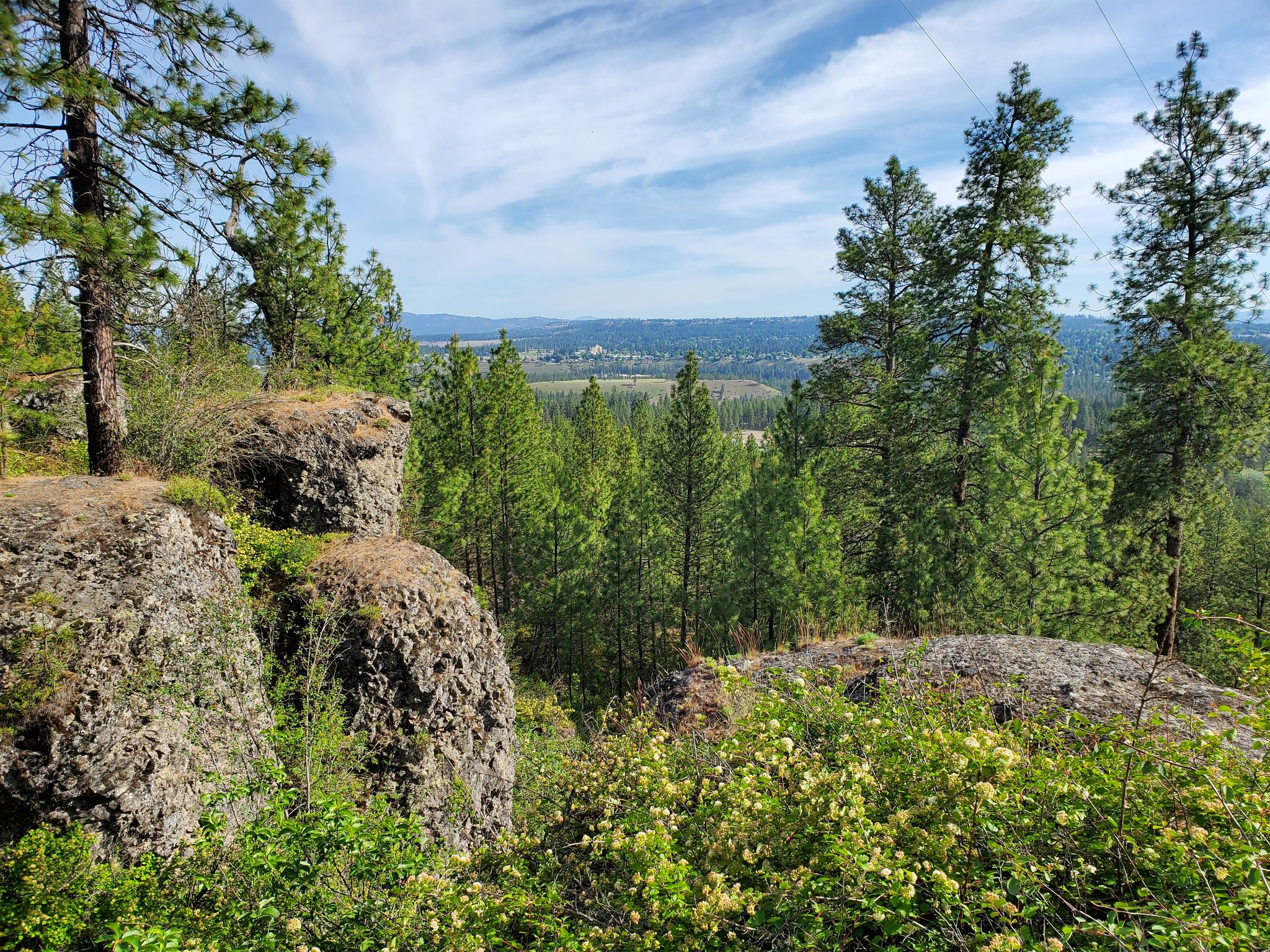 West Plains Hiking image