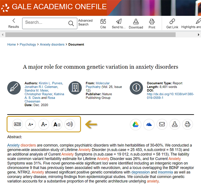 Gale Academic OneFile's accessibility tools found on content and document pages