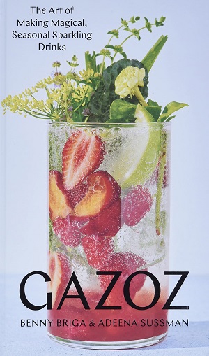 Gazoz book cover