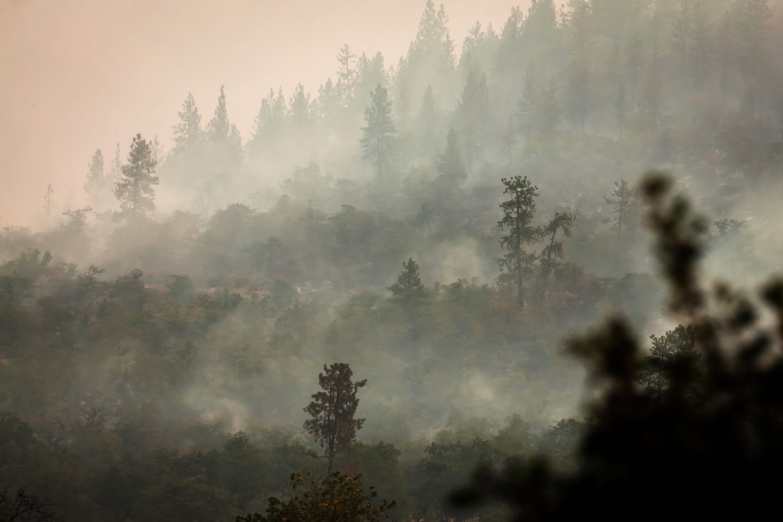 Smoke in sky from fires in a wooded mountainous region