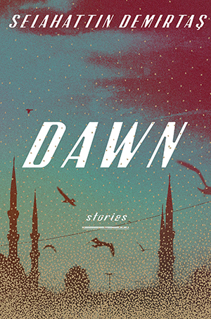 Book cover for Dawn