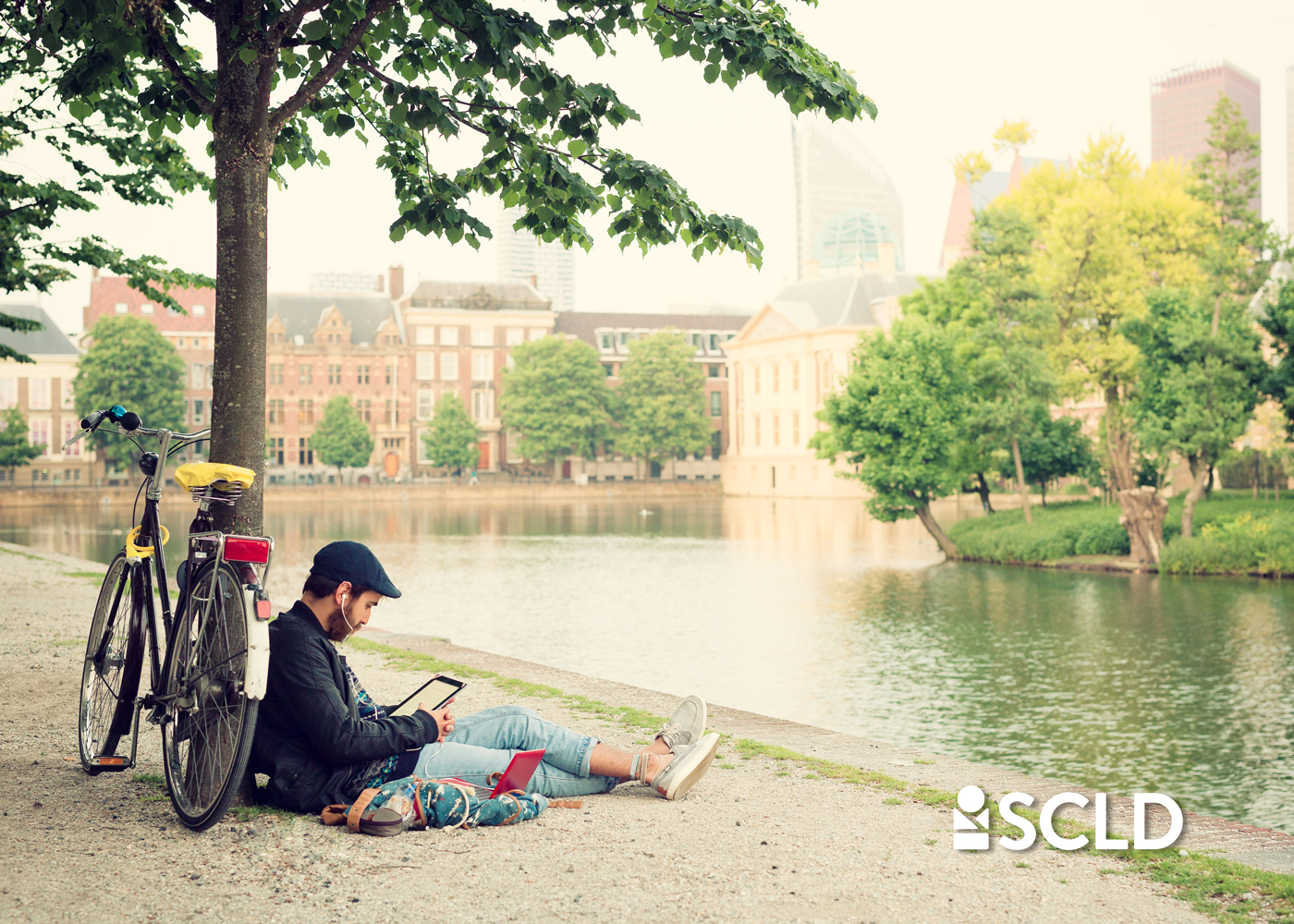 Blog Feature image - man reading in city park under tree